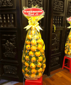 Giỏ trái Cây 27